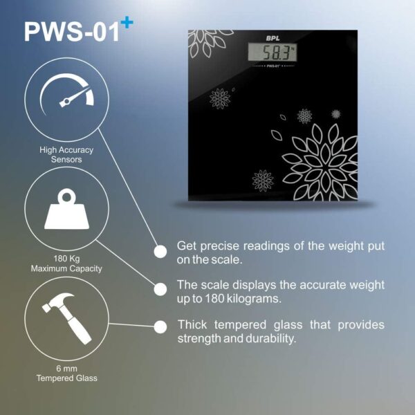 61ia7WHQi5L._SL1000_.jpg