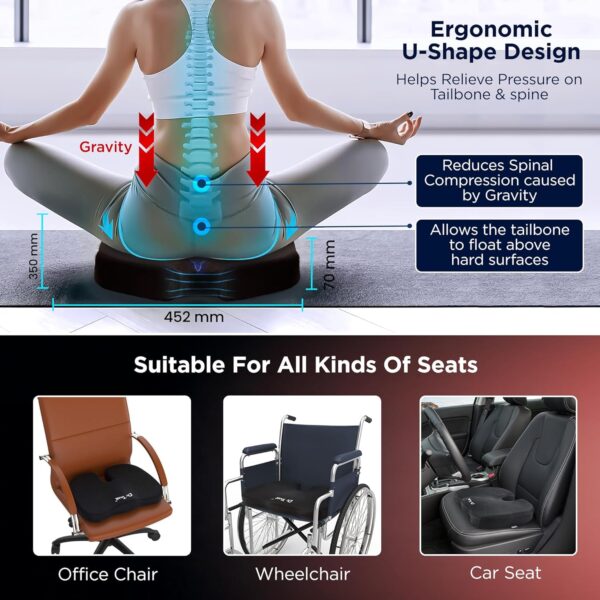 813-ejJxRtL._SL1500_