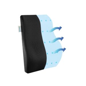 EverActiv Orthopedic Back Support Cushion for Office Chair and Car